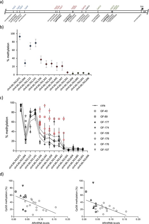 CpG methylation analysis within the proximal AR promoter in GFs from controls and individuals with AIS type II. (a) Schematic representation of the analyzed AR promoter region covering the CpGs (hg19). Only cg10164191 at chrX:66763521 (CpG11) was excluded from the analysis. CpGs present on the Human-Methylation27 DNA Analysis BeadChip are shown in bold. A color code distinguishes three regions CpG1-4 (blue), CpG5-10 (red), and CpG12-15 (green). (b) Mean methylation levels (percentages) at all individual CpGs shown in scrotal control GFs (n = 9). The analysis was performed in triplicate. Error bars indicate the SD. The color code reflects the position indicated in panel (a). (c) Methylation levels at the same CpGs in GFs from controls (black line; SDs are dotted lines) and patients with AIS type II (mean and SD) with relative AR mRNA expression <0.05 (GF-40, GF-89, GF-177, GF-174, GF-109, GF-179, GF-176, GF-107). Significantly higher methylation levels from chrX:66,763,336-66,763,501 are highlighted in red. Individual methylation values are shown in Supplemental Table 3. (d) Linear regression of the correlation between AR mRNA expression and methylation at CpG5 and CpG6. The correlation calculation included all controls and AIS type II samples analyzed by pyrosequencing. The correlation coefficient for CpG5 was −0.55 (P = 0.008); that for CpG6 was −0.5 (P = 0.01). GF-40, GF-89, GF-177, GF-174, GF-109, GF-179, GF-176, and GF-107 are highlighted by using the same symbols as in panel (c).