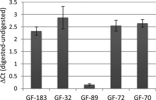 Heterochromatin state of the chromosomal region chrX:66,763,273-66,763,602. The difference between digested and undigested DNA was calculated on the cycle thresholds (Ct) of the quantitative PCR run and reflects the level of nuclease accessibility. GF-183 and GF-32 are control GFs, GF-72 and GF-70 are AR mutation–positive GFs from patients with CAIS, and GF-89 is an AIS type II–derived GF. All experiments were performed in triplicate. Error bars indicate the SD.