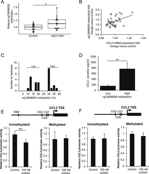 SLC19A1 knockdown induces cg12698626 methylation and CCL2 transcriptional activity. (A) The methylation of cg12698626 increased significantly on SLC19A1 silencing in human adipocytes, and (B) the fold-change in methylation correlated significantly with the fold-change in CCL2 expression (rho = 0.35 and P = 0.037, using Spearman rank correlation). (C) The absolute methylation of cg12698626 in primary in vitro differentiated adipocytes from five donors displayed a bimodal distribution and could be subdivided according to “low” or “high” methylation in the individual replicates. (D) CCL2 secretion from adipocytes shown in C was compared between the groups with high or low cg12698626 methylation. (E) Cortisol-mediated repression of the CCL2 promoter was assessed using a luciferase reporter assay containing cg12698626 (CG4) in the (Left) unmethylated or (Right) methylated state. (F) Similar experiments as in D were performed using constructs in which CG4 was deleted. *P < 0.05, **P < 0.01, ***P < 0.001.