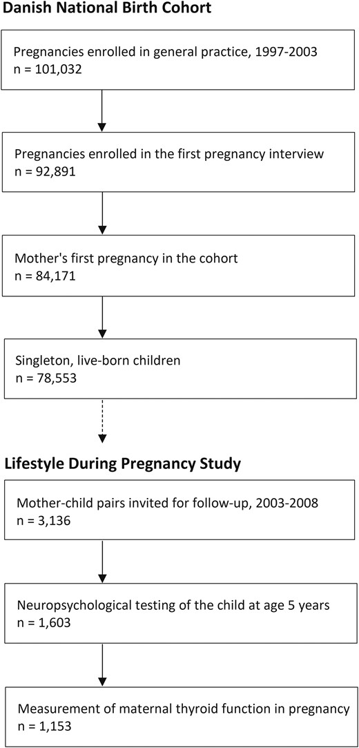Flowchart illustrating the eligible cohort of children and the number of children invited for follow-up and participating in neuropsychological assessment, as well as the number of children with available measurement of maternal thyroid function in early pregnancy.