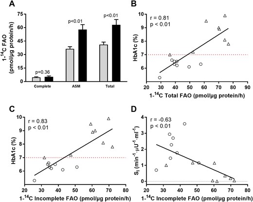 FAO in T2D grouped by glycemic control (HbA1c < 7.0 mg/dL; HbA1c ≥ 7.0 mg/dL). (A) FAO complete, complete oxidation of 1-14C-palmitate to 14CO2; total FAO, complete + incomplete FAO. (B–D) Relationships among HbA1c, SI, and FAO. ○, HbA1c < 7.0 mg/dL (gray bars); Δ, HbA1c ≥ 7.0 mg/dL (black bars).