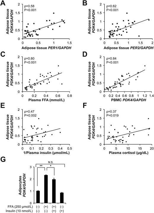 Adipose tissue PDK4 gene expression is associated with plasma FFA concentrations and PBMC PDK4 gene expression. (A–F) Relationship between adipose tissue PDK4 gene expression and adipose tissue PER1 (A) and PER2 (B) gene expression, plasma FFAs (C), PBMC PDK4 gene expression (D), plasma insulin (E), and cortisol concentrations (F). (G) PDK4 gene expression in differentiated human subcutaneous adipocytes treated with FFA (250 μmol/L), insulin (10 nmol/L), or both for 3 hours (n = 3 per group). Data are means ± SEM. *P < 0.05, **P < 0.001, by using one-way ANOVA followed by the Tukey post hoc test. N.S., not significant.