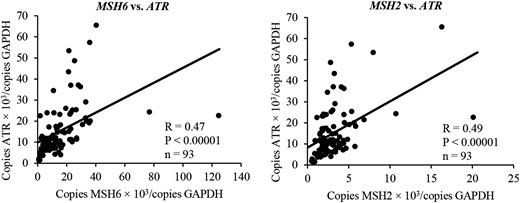 Correlation between MSH6 and MSH2 expression and ATR expression. The relationship between MSH6 and MSH2 expressions and ATR expression in PAs was examined using simple linear regression analysis. MSH6 and MSH2 expression was positively associated with ATR expression (respectively, R = 0.47, P < 0.00001, and R = 0.49, P < 0.00001).