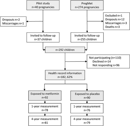 Flowchart on randomization, dropouts, and exclusions.