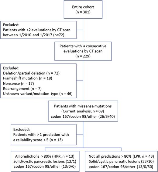 Flowchart describing the patients included in the analysis and in the subgroups, according to the computed risk for altered protein function. HPR, high predicted risk; LPR, low predicted risk.
