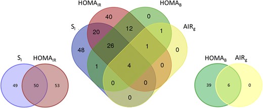 Overlap of significant metabolites between dynamic and basal measures of glucose homeostasis.