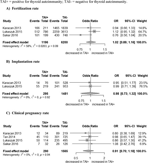 Association between (A) thyroid antibodies (TAI) and fertilization, (B) implantation, and (C) clinical pregnancy rates. SD, standard deviation; TAI+, positive for thyroid antibodies; TAI-, negative for thyroid antibodies.