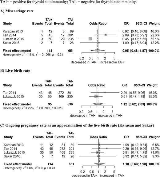 In women with a clinical pregnancy: association between (A) thyroid antibodies (TAI) and MRs, (B) live births, and (C) ongoing pregnancy rates as an approximation of the LBRs. SD, standard deviation; TAI+, positive for thyroid antibodies; TAI-, negative for thyroid antibodies.