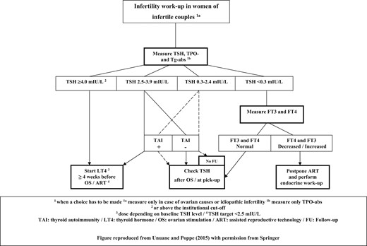 Algorithm to screen/manage thyroid disorders in women of infertile couples. Reproduced with permission from Unuane and Poppe (49) with permission from Springer.