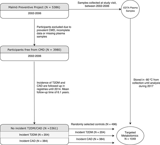 Flowchart of the participant selection from the Malmö Preventive Project.