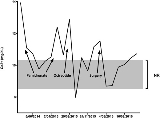 Graph of calcium levels over time. NR, normal range.