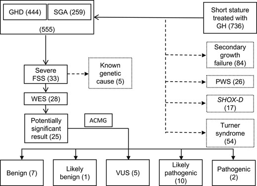 Work flow summarizing the selection of patients for the study and the genetic results. ACMG, American College of Medical Genetics; PWS; Prader-Willi syndrome; SHOX-D, short stature homeobox deficiency.