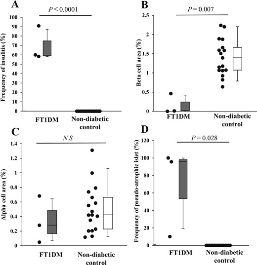 Frequency of insulitis, β and α cell areas, and frequency of pseudoatrophic islets in FT1DM. (A) Frequency of insulitis in FT1DM and nondiabetic control group as shown by box-and-whisker plots. The gray box indicates the upper and lower quartiles of the frequency of insulitis in FT1DM, and the median is indicated by a short black line within the box. The whisker on the box indicates the 95% quartile, and that under the box indicates the 5% quartile. (B) β Cell area per pancreatic section in FT1DM and control groups. (C) α Cell area per pancreatic section in FT1DM and control groups. (D) Frequency of pseudoatrophic islets in FT1DM and control groups. N.S., not significant.