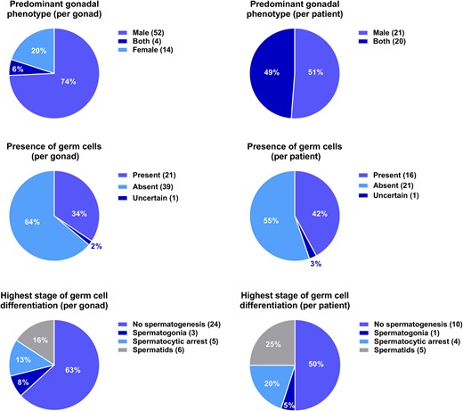 Key histology findings in terms of phenotype, presence of germ cells, and germ-cell differentiation counted by patients and gonads, respectively.