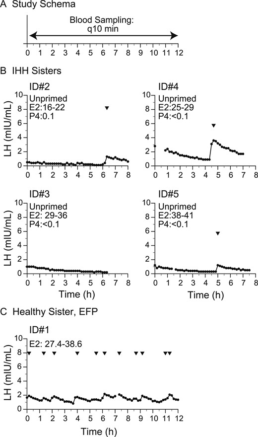 Baseline neuroendocrine profiling. (A) Study schema. (B) Study subjects with IHH who underwent 8-h sampling between 2010 and 2011. (C) Healthy sister in early follicular phase (EFP). Arrowheads indicate LH pulses detected by the algorithm. E2, estradiol; P, progesterone; q10 min, every 10 min.