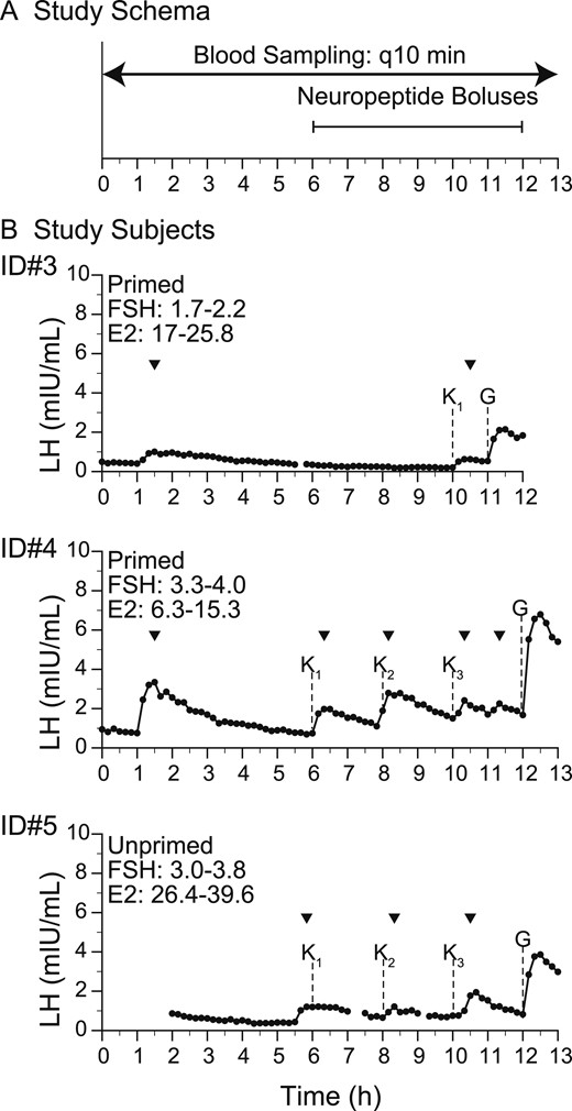 Baseline studies with response to kisspeptin and GnRH. (A) Study schema. (B) Study subjects. Arrowheads indicate LH pulses detected by the algorithm. E2, estradiol; G, GnRH IVB (75 ng/kg); K, kp-10 by IVB (subscript indicates the dose: 1, 0.24 nmol/kg; 2, 0.72 nmol/kg; 3, 2.4 nmol/kg); q10 min, every 10 min.