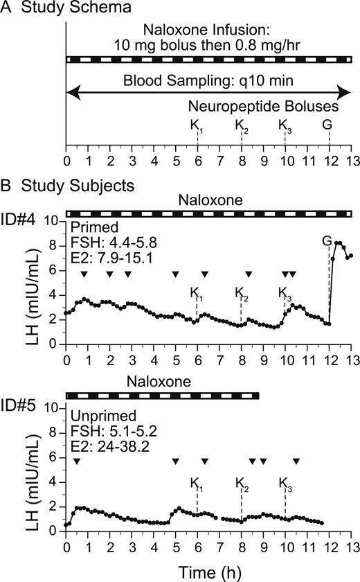 Neuropeptide administration with response to kisspeptin and GnRH. (A) Study schema. (B) Study subjects. Arrowheads indicate LH pulses detected by the algorithm. E2, estradiol; G, GnRH IVB (75 ng/kg); K, kp-10 by IVB (subscript indicates the dose: 1, 0.24 nmol/kg; 2, 0.72 nmol/kg; 3, 2.4 nmol/kg); q10 min, every 10 min.