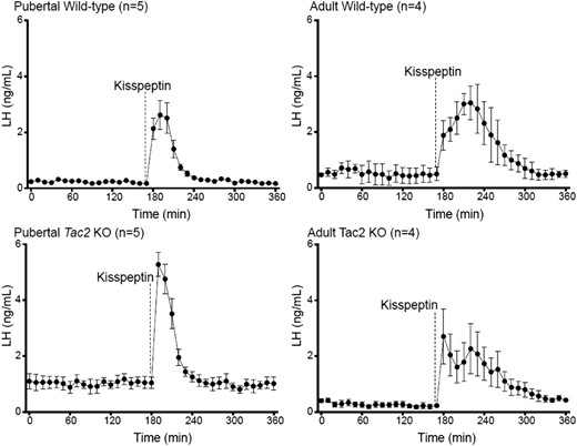 Kisspeptin administration to Tac2 KO mice and littermate controls across sexual development. Dashed line indicates kisspeptin administration. LH values are mean ± SEM for each time point.