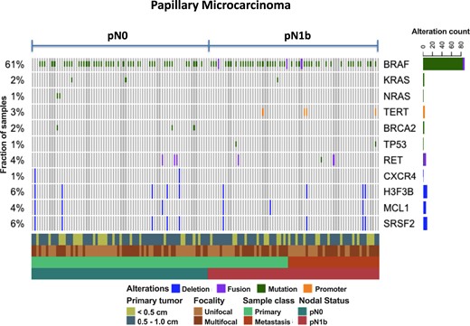 Oncoprint demonstrating the most common genomic alterations using a custom targeted panel (MSK-IMPACT) encompassing 410 cancer-associated genes in papillary microcarcinomas presenting with pN0 vs pN1b disease.