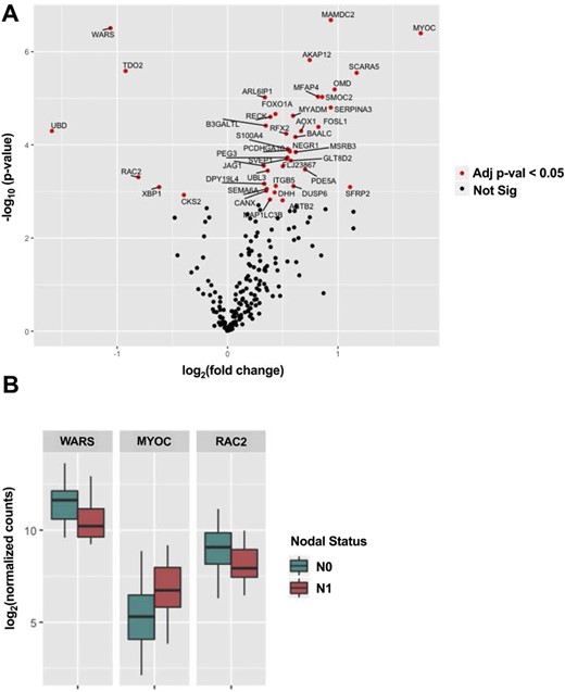 (A) Differential RNA expression levels from the custom Nanostring panel in pN0 tumors vs pN1b tumors. Altogether, 37 genes were significantly upregulated, and six genes were significantly downregulated in pN1b tumors (adjusted P < 0.05). (B) Selected important genes.