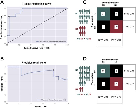 (A, B) Development of a random forest machine learning-based classifier to predict disease stage from the primary tumor RNA profile, evaluated using a held-out test set of 41 samples. (C) Predictions of pN0 were correct 90% of the time, and predictions of pN1b were correct 91% of the time. (D) Considering a population of patients where only 10% progress to pN1b disease, the PPV decreases to 0.72.