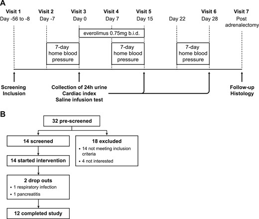 Clinical study design. (A) Study timeline. (B) Enrollment. b.i.d., twice per day.