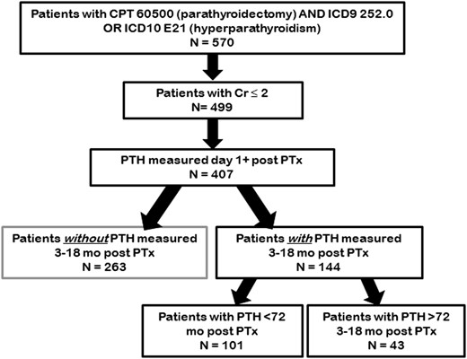 Patient cohort.