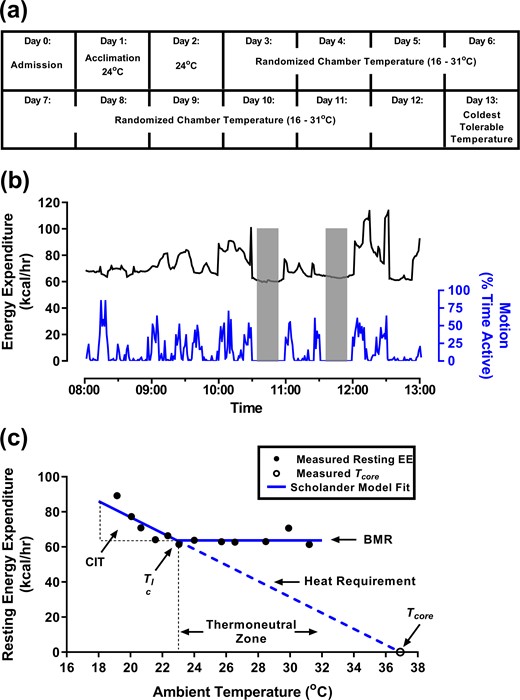 Protocol design outline with an example subject. (a) Study timeline. (b) Representative example of 1 day in the room calorimeter showing EE (black) and motion (blue), including two resting measurement periods (shaded). (c) The Scholander plot is used to determine BMR, CIT, Tlc, and insulation (inverse of the slope of the heat requirement). The set point for Tcore is where the heat requirement line intersects the Ta axis. The thermoneutral zone starts at the Tlc. Data (black circles) obtained from one lean subject and analyzed by branch-chain regression (blue lines) are included as an example.