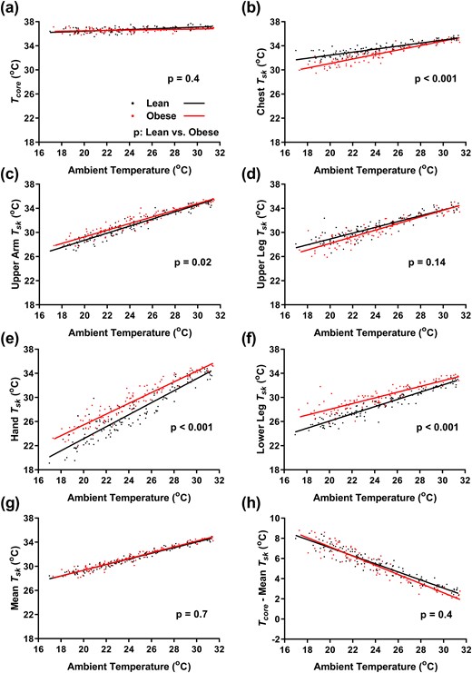 Effect of Ta on core and Tskin. Linear regression of the indicated temperatures of lean men (black, n = 12) and men with obesity (red, n = 9) as a function of Ta. (a) Tcore and Tskin (Tsk) of the (b) chest, (c) upper arm, (d) upper leg, (e) hand, (f) lower leg, and (g) weighted mean. (h) Gradient from the core to skin. P values are results of mixed-effects model post hoc tests for differences between lean men and men with obesity.