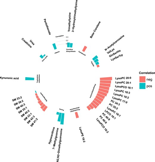 Partial Spearman correlations between annotated T2DM-associated metabolites and BMI in the MPP (N = 698). Positive correlations are marked in blue and negative correlations in red.