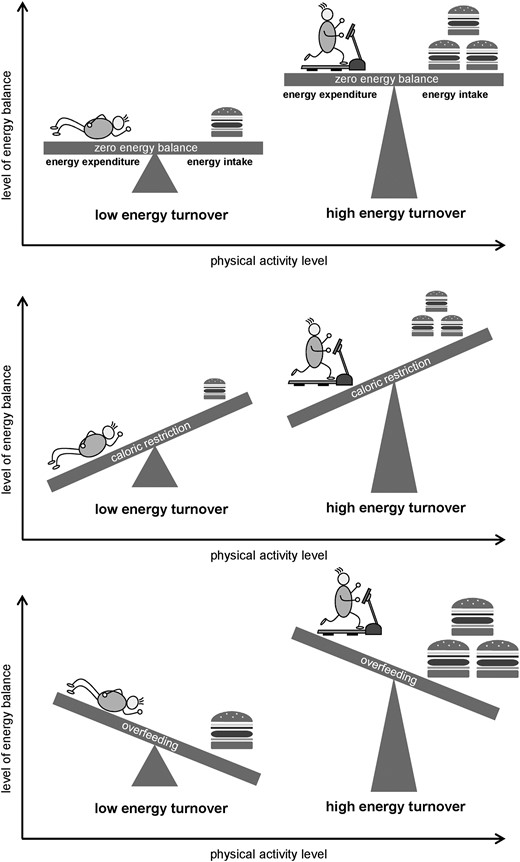 Graphic depiction of the ET concept.