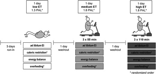 Study protocol of the randomized crossover intervention at three different levels of ET under four different EB conditions. Different levels of ET were achieved by walking on a treadmill at the speed of 4 km/h for either 0 min (low ET), three times for 55 min (medium ET), or three times for 110 min (high ET). Energy balance conditions were ad libitum EI, zero EB, caloric restriction (−25%), and overfeeding (+25%). Levels of ET during each EB condition were randomized as well as order of caloric restriction and overfeeding. Intervention days were preceded by 3 d of run-in at every EB condition and separated by one washout day each. During the entire study protocol subjects received a controlled diet with constant macronutrient relation (50% carbohydrates, 35% fat, 15% protein).