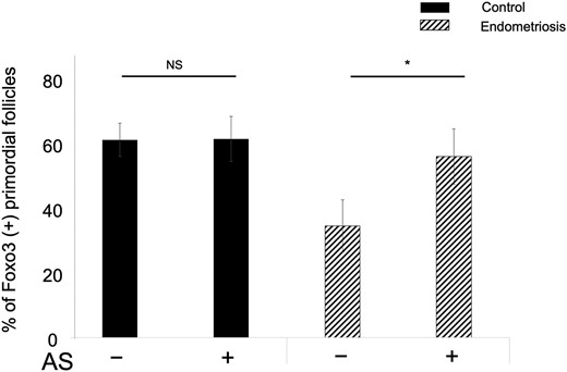 Effect of AS101 on the percentage of Foxo3-positive primordial follicles in endometriosis model mice. The administration of AS101 to endometriosis model mice significantly increased the percentage of Foxo3-positive primordial follicles (P < 0.05). Bars and whiskers represent the mean and SEM. *P < 0.05; n = 8 in each group.