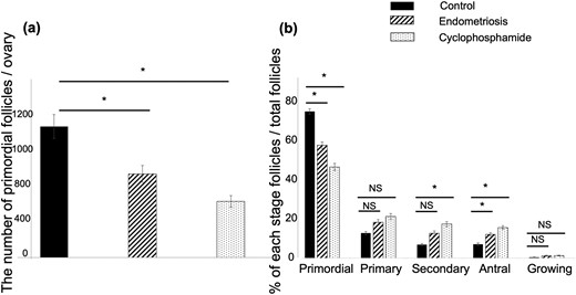 Number and percentage of primordial follicles in control, endometriosis model mice, and cyclophosphamide-treated mice. (a) The number of primordial follicles per ovary in the endometriosis group and cyclophosphamide group was significantly lower (P < 0.05) in comparison with the control. Bars and whiskers represent the mean and SEM. n = 8 in each group. (b) The percentage of primordial follicle numbers per total follicle numbers in the endometriosis group and cyclophosphamide group was significantly lower (P < 0.05) in comparison with the control. Percentages of primary, secondary, antral, and growing follicles in the endometriosis group and cyclophosphamide group were higher in comparison with the control. Bars and whiskers represent the mean and SEM. *P < 0.05; n = 8 in each group.