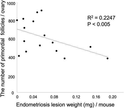 Correlation between number of primordial follicles and weight of endometriosis lesions in mice. A statistically significant negative correlation (R2 = 0.2247; P < 0.005) was noted in the relationship between the number of primordial follicles and the weight of endometriosis lesions in the mouse model. n = 16.