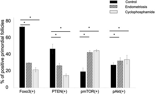 Percentage of PI3K-PTEN-Akt-Foxo3 pathway protein–positive primordial follicles in control, endometriosis model mice, and cyclophosphamide-treated mice. The percentage of Foxo3 and PTEN-positive primordial follicles was significantly lower (P < 0.05) in endometriosis model and cyclophosphamide-treated mice in comparison with the control. The percentage of pmTOR- and pAkt-positive primordial follicles in endometriosis model and cyclophosphamide-treated mice was significantly higher (P < 0.05) in comparison with the control. Bars and whiskers represent the mean and SEM. *P < 0.05; n = 8 in each group.