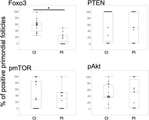 Percentage of PI3K-PTEN-Akt-Foxo3 pathway protein–positive primordial follicles in control women (Ct) and patients with endometriosis (Pt). The percentage of Foxo3-positive primordial follicles was significantly lower (P < 0.05) in samples from patients with endometriosis compared with samples from control women. There was no significant difference in PTEN-, pmTOR-, and pAkt-positive primordial follicles between the two groups. Boxes represent the first (25%) and third (75%) quartiles, and horizontal lines in the boxes represent medians. Whiskers represent the 10th and 90th percentiles. *P < 0.05; n = 16 Ct and 12 Pt.