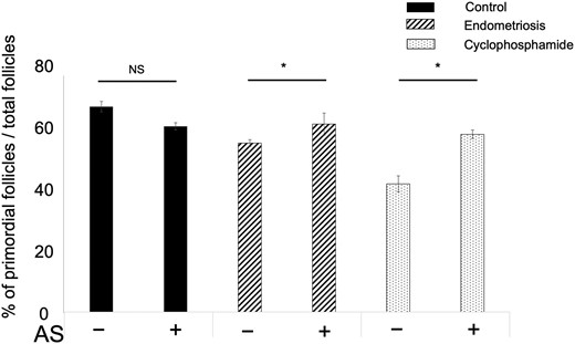 Effect of AS101 (AS) on percentage of primordial follicles in control, endometriosis model, and cyclophosphamide-treated mice. The administration of AS101 to control mice did not change the proportion of primordial follicles per total follicles, but the percentage of primordial follicles significantly increased (P < 0.05) in samples from endometriosis model and cyclophosphamide-treated mice. Bars and whiskers represent the mean and SEM. *P < 0.05; n = 8 in each group.