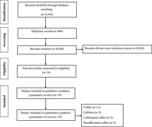 Flowchart of the study selection process.