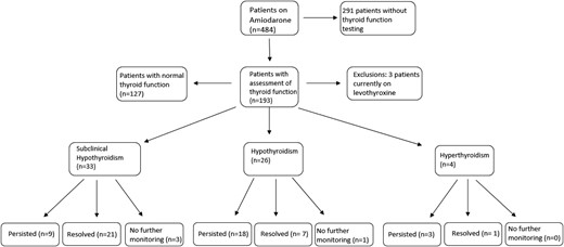 Patients developing subclinical hypothyroidism, AIH, and AIT and resolution.
