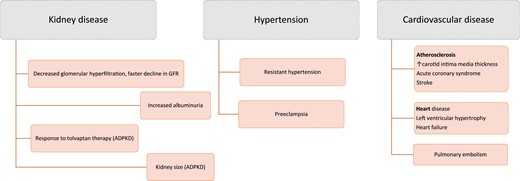 Clinical associations of high copeptin levels with negative outcomes in kidney and cardiovascular disease.