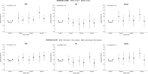 Association of serum FABP4 concentrations with risk of T2D, MI, and stroke, stratified by (upper panel) BMI and (lower panel) waist circumference. Results from Cox proportional hazards regression adapted for the case-cohort design using the weighting method described by Prentice (22), using age as the underlying time variable, with stratification by age at recruitment, and adjustment for sex, physical activity, smoking, educational attainment, consumption of alcoholic beverages, consumption of whole grain bread, consumption of red meat, consumption of coffee, prevalent hypertension, fasting status, BMI, and waist circumference.