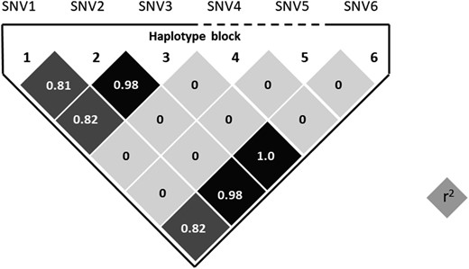 Linkage disequilibrium plot for the haplotype block constituted by six variants identified by direct sequencing of KCNJJ18. SNV1, SNV2, SNV3, and SNV6 were in strong linkage disequilibrium. Haplotypes were estimated by expectation-maximization algorithm (Haploview version 4.2) based on genotypes in Japanese controls (n = 208).