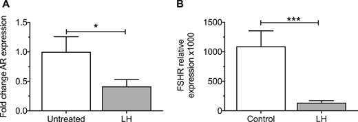 Androgen and FSH receptor expression are downregulated in vitro by LH. (A) AR gene expression in GLCs cultured with and without LH for 24 h (mean + SEM). LH reduced AR expression (*P < 0.05) (n = 8). (B) FSHR expression was reduced in granulosa lutein cells cultured with LH 10 nM for 24 h (mean + SEM) (***P < 0.001).