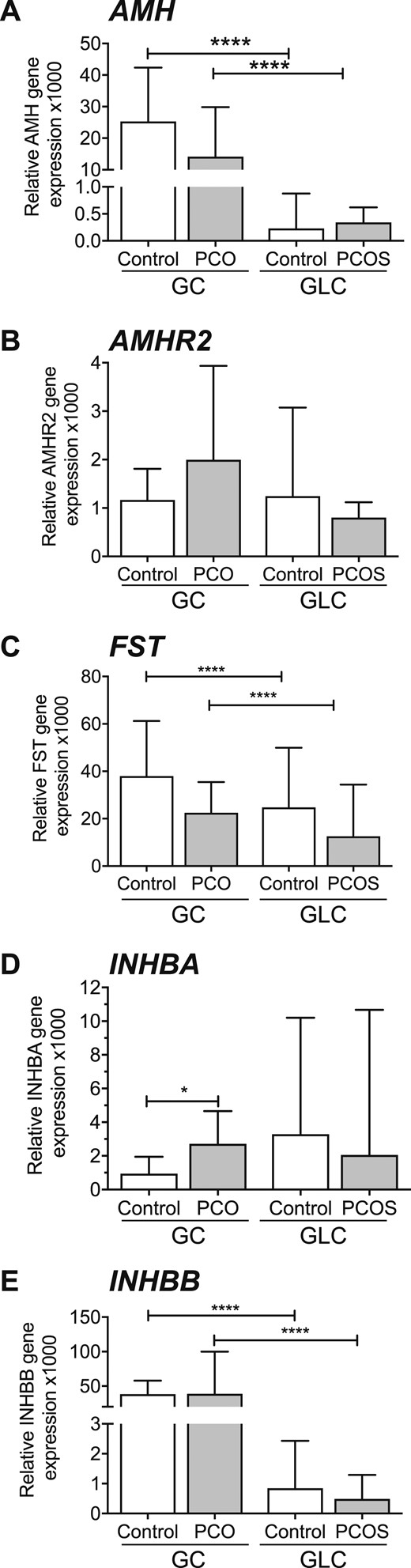 Gene expression of growth factors in GLC and GCs (median + 95% CI). (A) AMH expression did not differ between PCO and control GCs. AMH was negligible in GLCs (****P < 0.0001). (B) AMHR2 expression did not differ between PCOS and control GCs. (C) FST (follistatin) expression did not differ between PCOS and control GCs and was higher in GCs than GLCs (****P < 0.0001, ****P < 0.0001). (D) INHBA was higher in PCO GCs compared with controls (*P < 0.05). (E) INHBB was higher in control and PCO GCs compared with control and PCOS GLCs (****P < 0.0001, ****P < 0.0001).