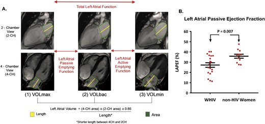 Cardiac MRI and diastolic function in women with and without HIV. (A) Diastolic function was assessed through measurement of the left atrial passive ejection fraction (LAPEF) on cardiac MRI. Left atrial passive ejection fraction was determined as the difference between VOLmax and VOLbac. (B) Diastolic function (quantified by left atrial passive ejection fraction, %) is displayed as mean ± SEM for each group. Diastolic function was significantly reduced among WHIV compared with non-HIV-infected women (P = 0.007). CH, chamber.