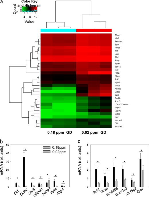 Effects of Se supply on gene expression in the spleen. (a) Heat map presentation of the differences between the Se-deficient and RDA-fed groups of GD mice. Red indicates increased and blue decreased expression levels. The genes associated with erythrocyte and oxidative stress are clustered. (b and c) Some regulated genes were validated using quantitative reverse transcription PCR. The single asterisk signifies P < 0.05.