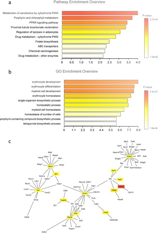 Differences in the expression of genes in GD mice. (a) Differences in the expression of genes centrally involved in certain biochemical pathways are observed when comparing groups of GD mice raised with a Se-deficient vs an RDA chow. (a) The 10 most substantially upregulated processes according to GO classification. (b) Presentation of the 10 most substantially upregulated biological pathways. The processes controlling the development of immune and red blood cells and the enzymes involved in porphyrin metabolism and homeostatic processes were affected by the Se-deficient vs RDA diet. (c) Presentation of the core gene networks affected, as identified by protein–protein interaction network analysis.