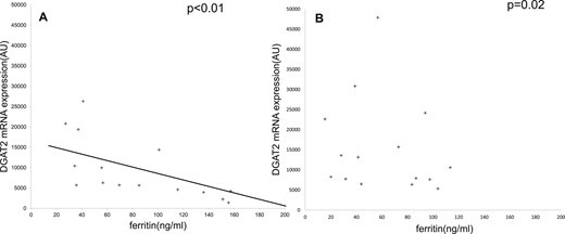 SAT DGAT2 mRNA expression using quantitative RT-PCR according to serum ferritin before (A) and after (B) overfeeding. (A) Spearman correlation between serum ferritin and DGAT2 gene expression at baseline. (B) After overfeeding, the correlation between serum ferritin and DGAT2 gene expression was absent. The mRNA level of DGAT2 was measured by quantitative RT-PCR and normalized by using hypoxanthine-guanine phosphoribosyltransferase mRNA expression in SAT biopsy specimens. AU, arbitrary unit.