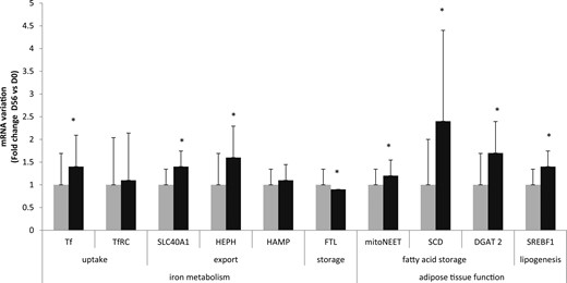 Comparison of mRNA expression of TF, SLC40A1, FTL, mitoNEET, SCD, DGAT2, and SREBF1 by microarray before (gray bars) and after (black bars) overfeeding. Data are expressed as mean ± SD. Statistical analyses were performed by using a paired t test. *P < 0.05. D, day; HAMP hepcidin; HEPH, hephaestin.
